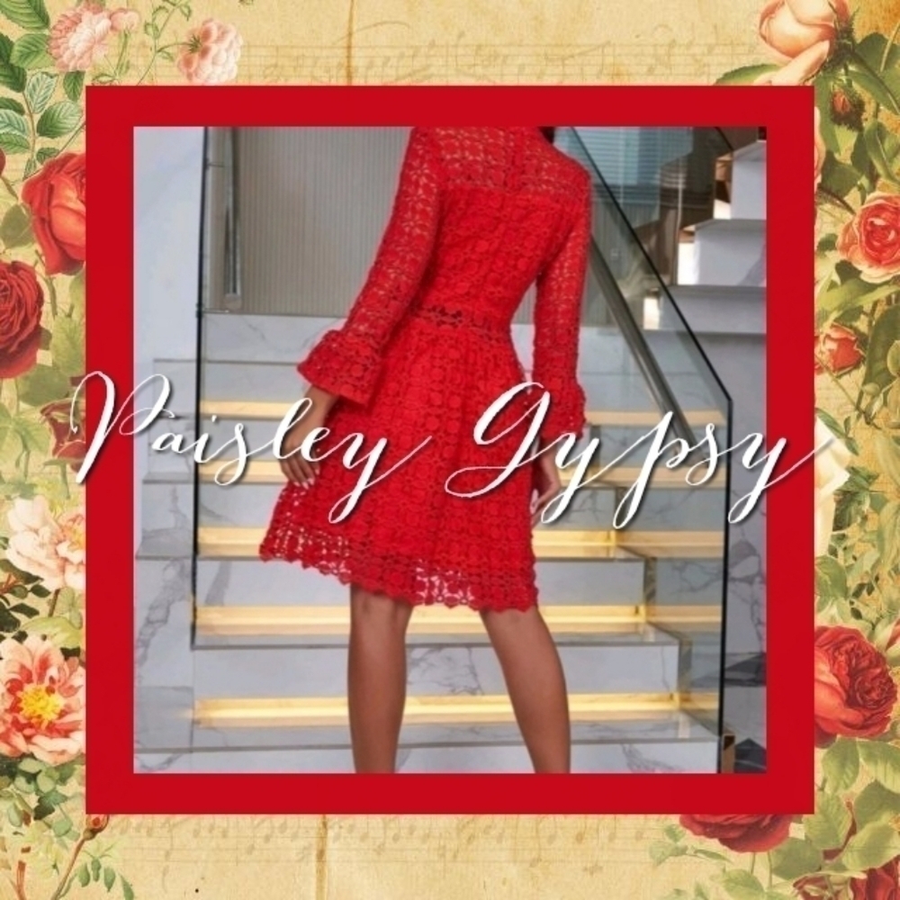 PREMIUM BRANDED LACE DRESS - Picture 4 of 14